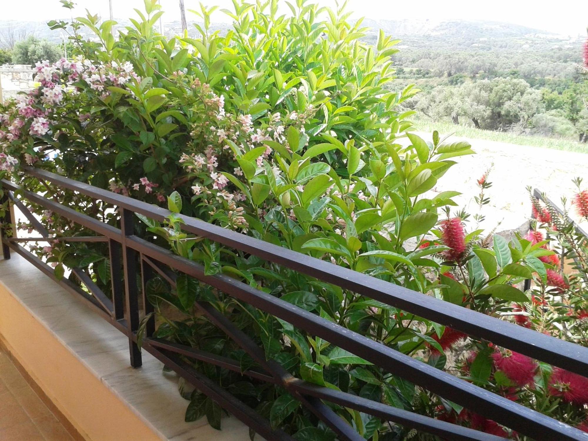 Helidonia Villas Pigí الغرفة الصورة